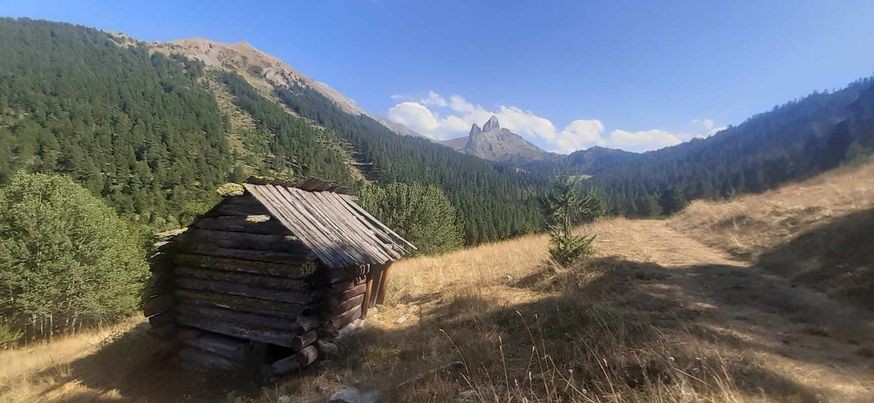 Les aiguilles de la selle